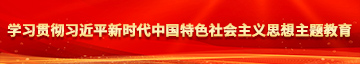 大鸡吧曹逼视频学习贯彻习近平新时代中国特色社会主义思想主题教育